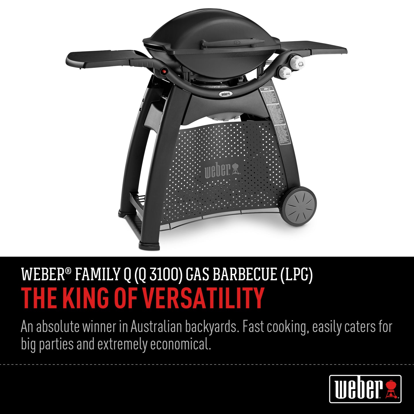 Weber Family Q BBQ (Q3100) - Black