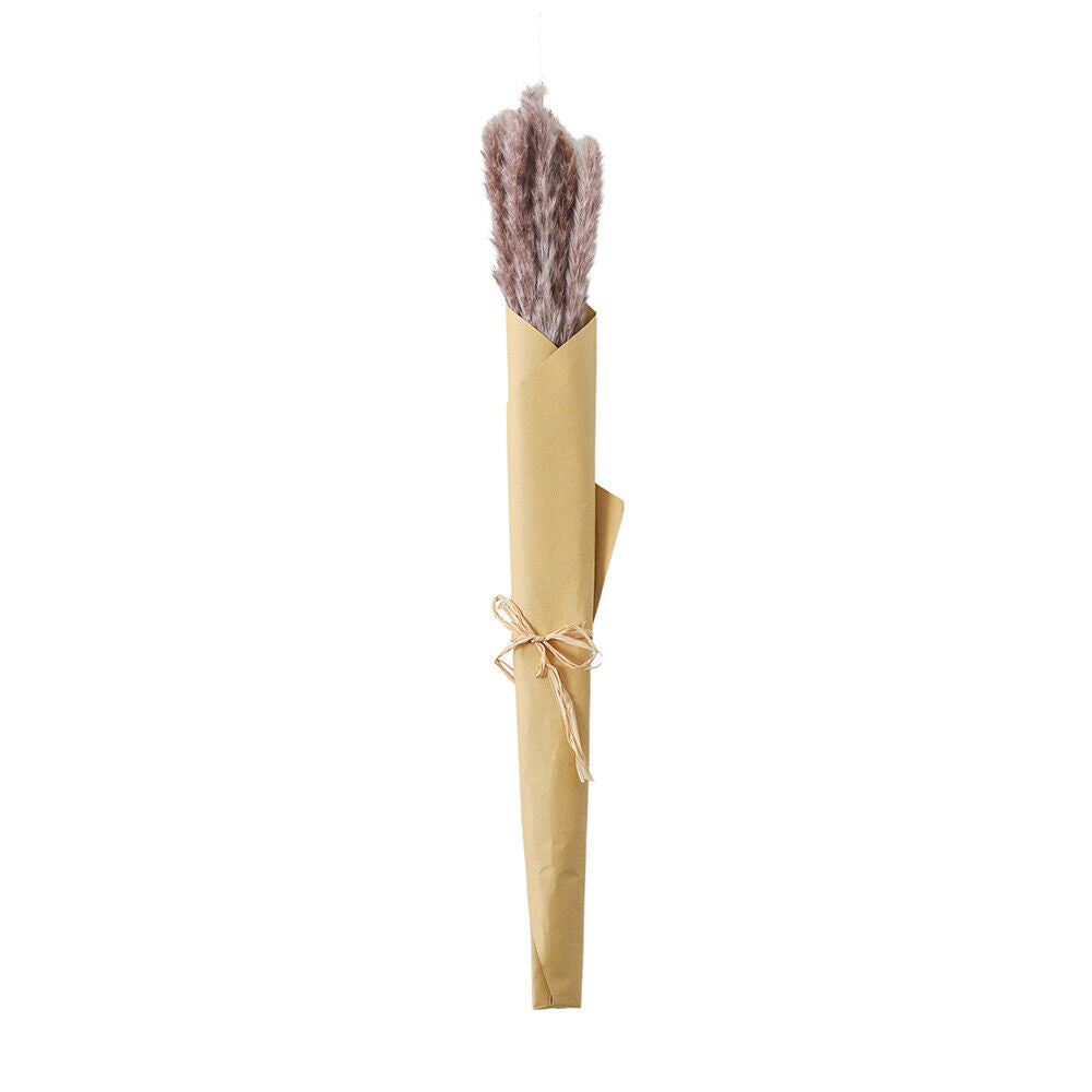 Hudson Living 60cm Dried Reed Grass Bundle in Paper Wrap Bouquet Flowers Lilac