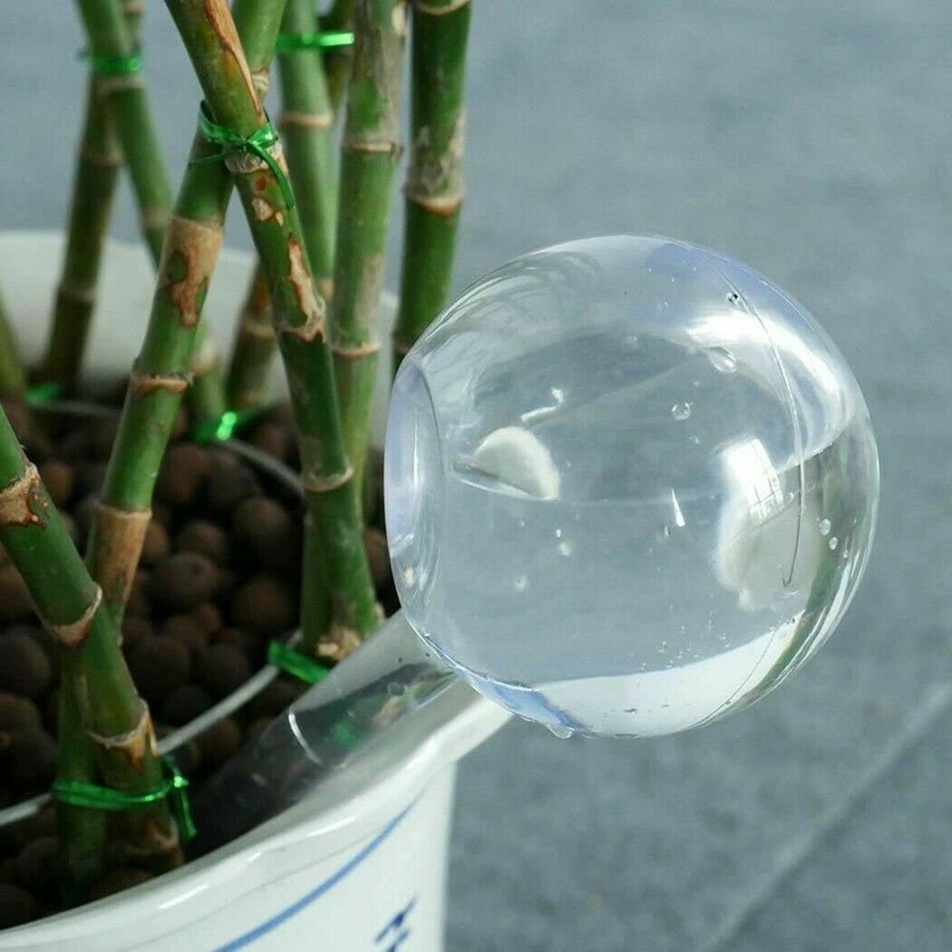 10Pcs Plant Water Bulbs Self Watering Globes Automatic Water Device Balls