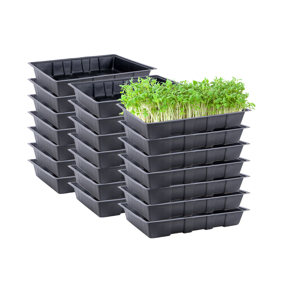 36PCE Seedling Trays Lightweight Durable Reusable 24 x 35.5cm